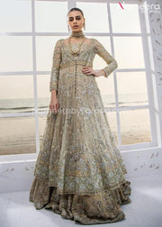 Lavish Pakistani Bridal Maxi