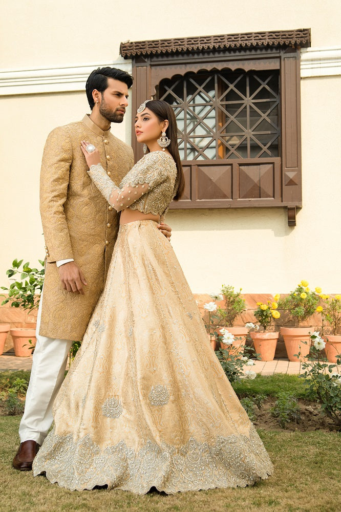 Elegant Royal Pakistani Bridal Lehenga Choli for Your Wedding