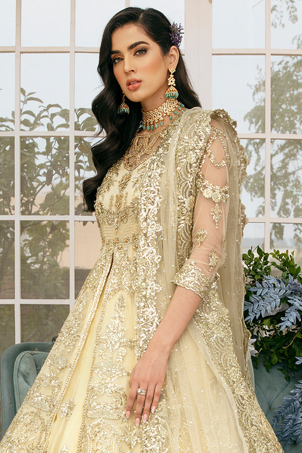 Lehenga with Front Open Gown Pakistani Dress for Bride
