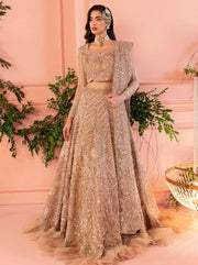 Light Brown Lehenga Choli 