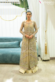 Light Green Pakistani Dress