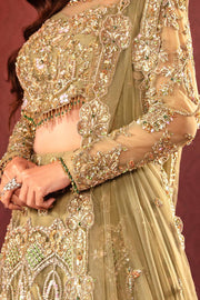 Lime Green Lehenga Choli 2022