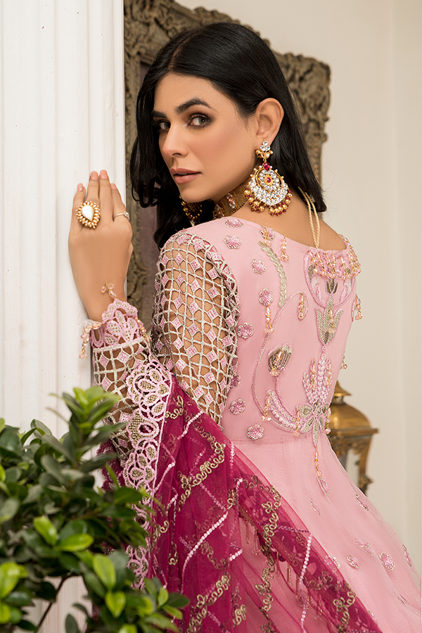 Long Dress Pakistani in Soft Pink Shade Designer