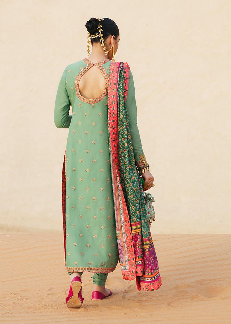 Long Dress Salwar Kameez Pakistani Party Dress