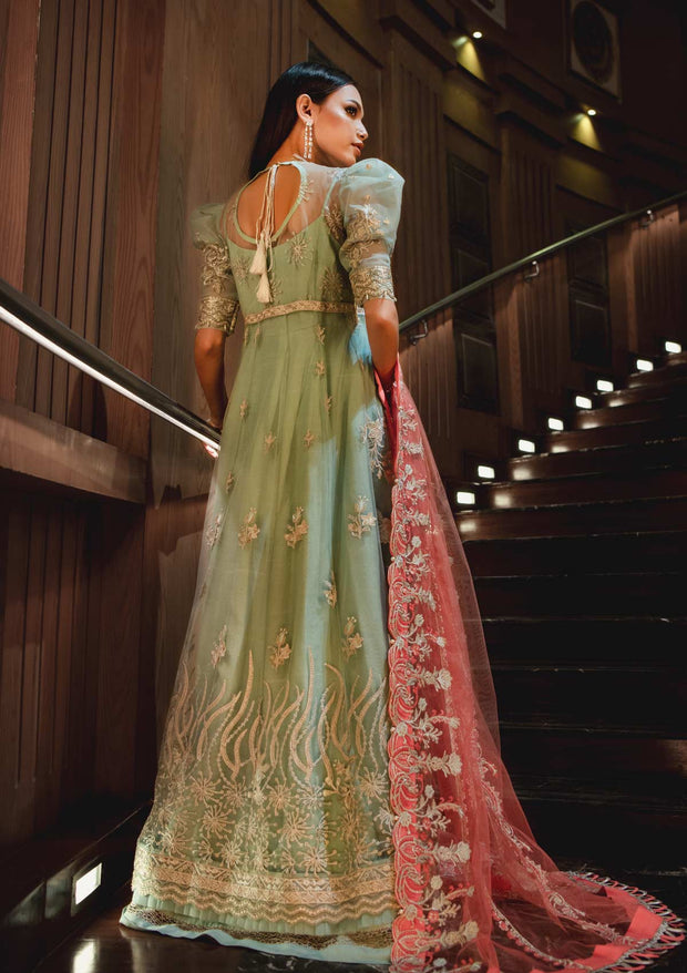 Long Frock Dress Pakistani in Pastle Green Shade
