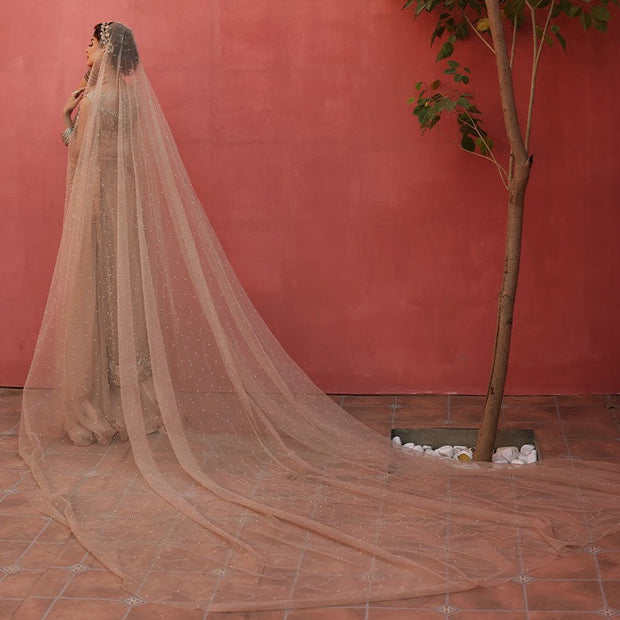 Long Kameez and Silk Lehenga 