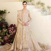 Long Skin Bridal Lehenga Kameez Pakistani Wedding Dresses