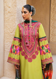 Long Sleeve Salwar Kameez Pakistani Dress