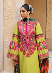 Long Sleeve Salwar Kameez Pakistani Dress