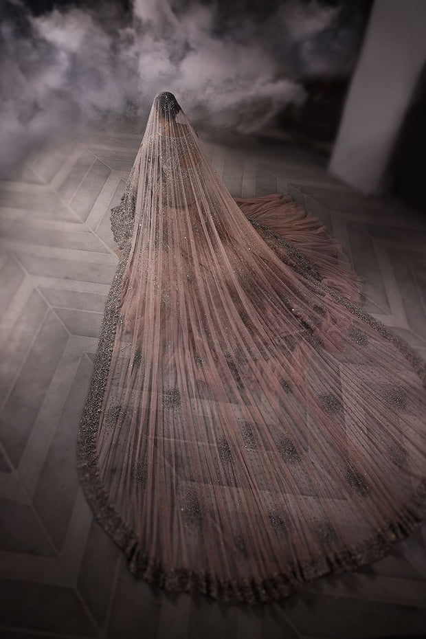 Long Tail Gown Dulhan Dress for Pakistani Bridal Wear