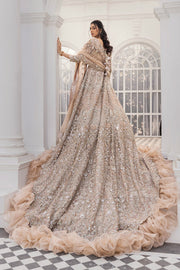 Long Tail Maxi Dress Pakistani for Bride