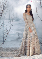 Long Tail Pakistani Wedding Dress