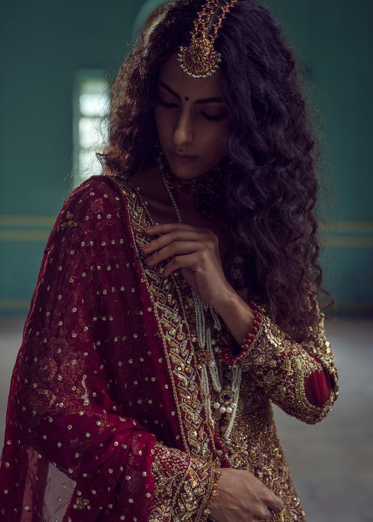 Long Trail Gown with Lehenga