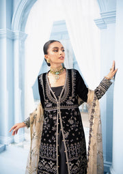 Magnificent Gown Dress Pakistani in Black Color Designer