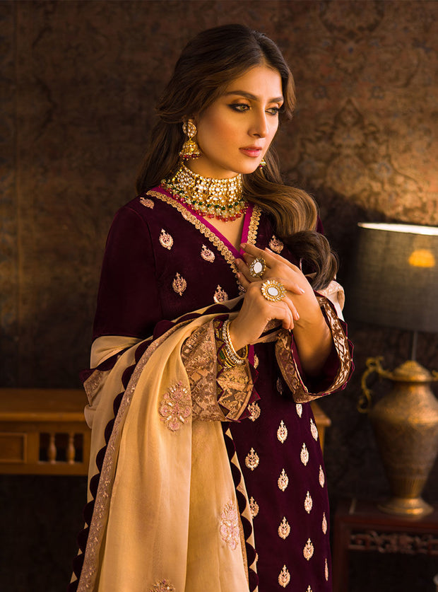 Maroon Velvet Salwar Kameez Design Pakistani Dress 2022