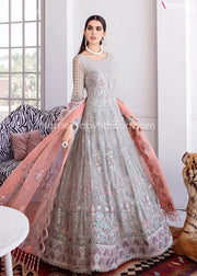 Maxi Dress Pakistani