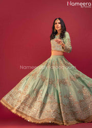 Mint Green Lehenga Choli