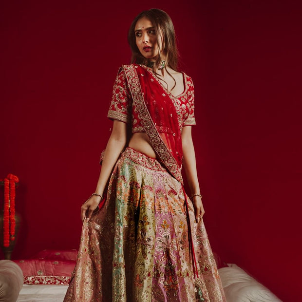 Multicolored Lehenga with Choli and Dupatta Dress
