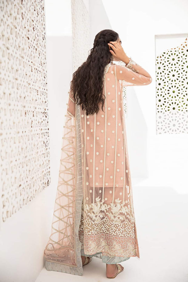 Net Embroidered Party Wear in Peach Color Backside Look