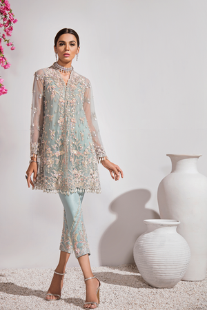Traditional Pakistani net embroidered wedding dress in blue color
