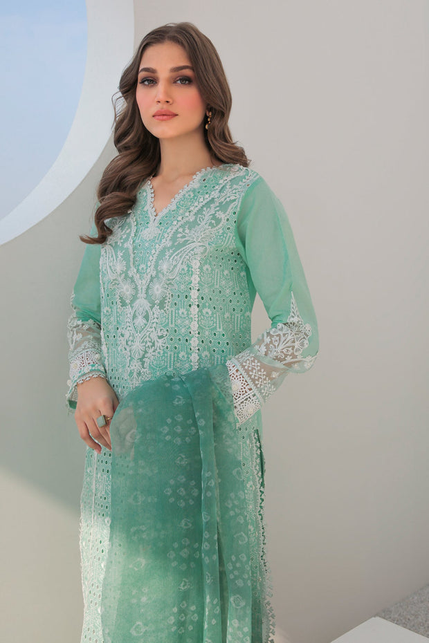 New Long Mint Green Kameez With Trouser Pakistani Dress