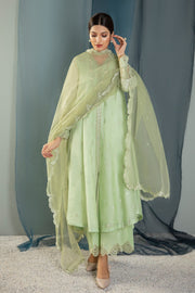 New Pakistani Mint Green Kameez in Gown Style Party Wear