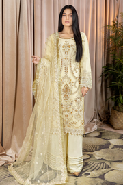 New Pale Silver Kameez Trousers with Organza Dupatta Party Dress