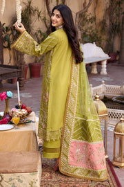 New Parrot Green Embellished Kameez Trousers Pakistani Eid Dress 2023