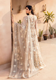 New Royal Pearl Embroidered Pishwas with Dupatta Pakistani Wedding Dress 2023