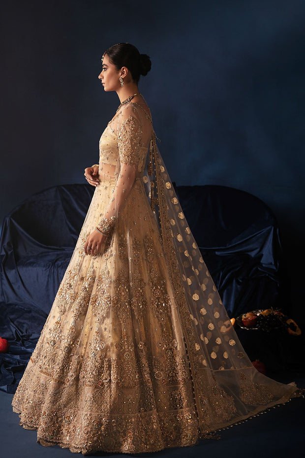Nikkah Dress in Bridal Lehenga and Pishwas Frock Style Online