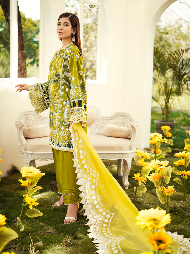 Olive Salwar Kameez Pakistani Eid Dress