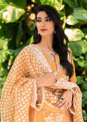 Orange Dress Pakistani in Salwar Kameez Style