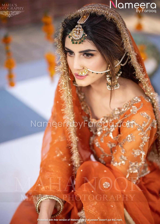 Organza Pakistani Long Dress for Bridal 