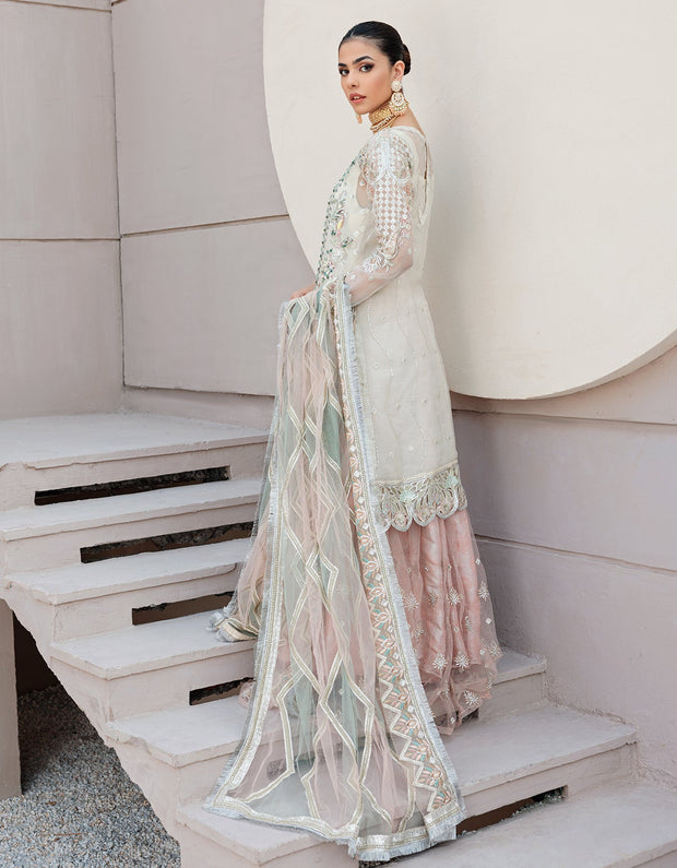 Organza Aqua Pink Salwar Kameez Pakistani Party Dress