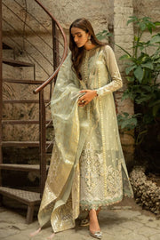 Organza Designer Party Dress with Embroidery
