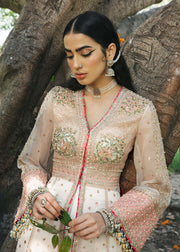 Organza Dress Pakistani in Pishwas and Sharara Style Online