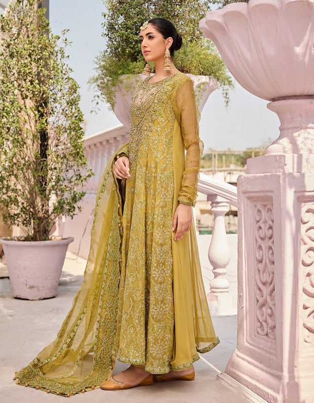 Organza Embroidered Frock Suit Pakistani Eid Dress