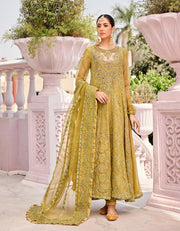 Organza Embroidered Frock Suit Pakistani Eid Dresses