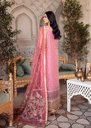 Organza Patch Chiffon Dress in Pink Color Backside Look