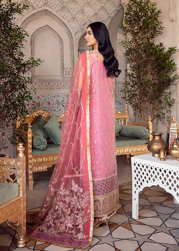 Organza Patch Chiffon Dress in Pink Color Backside Look