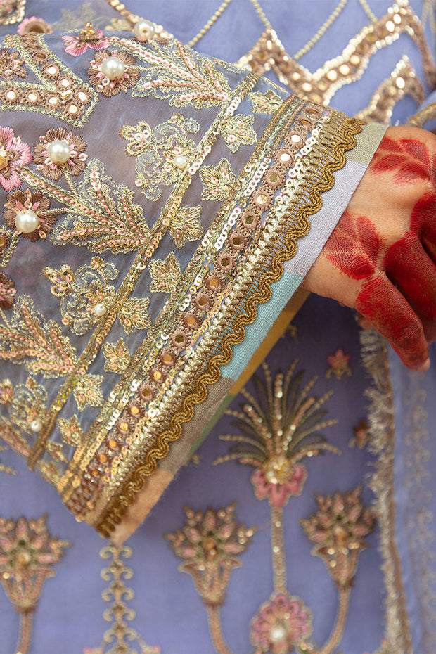 Organza Sharara Kameez Pakistani Eid Dress