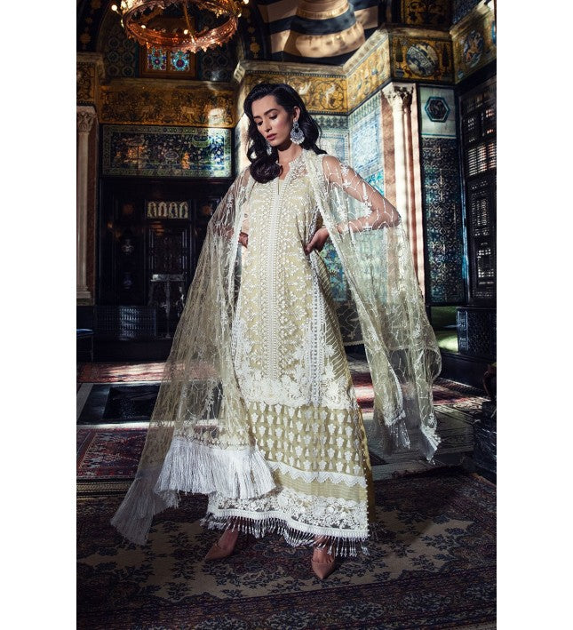Pakistani long kameez and trouser design
