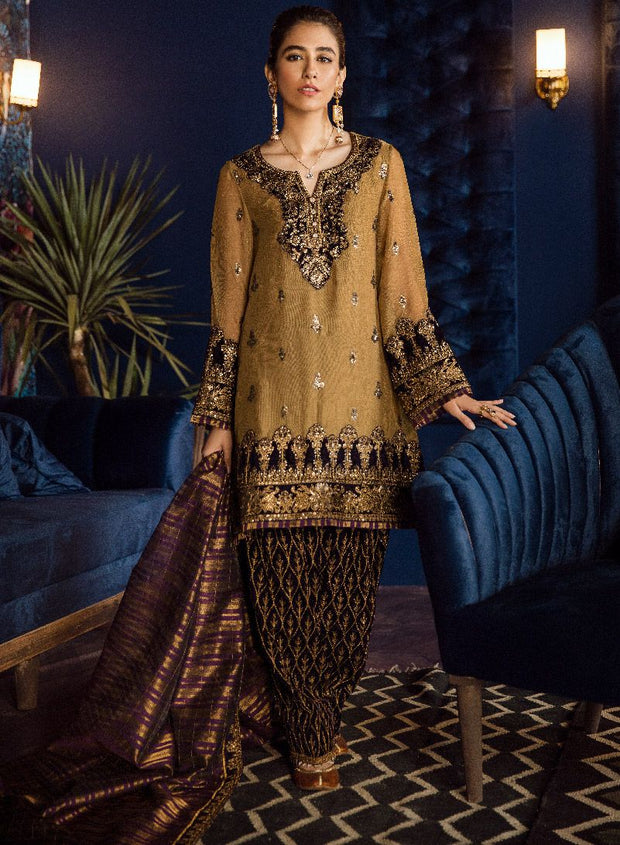 Beautiful Pakistani chiffon embroidered outfit in tobacco color
