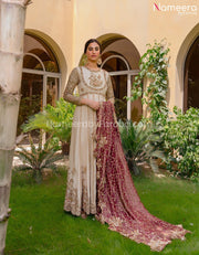 Pakistani Anarkali Dress with Embroidery Online Overall Look