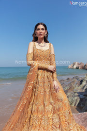 Wedding Party Dress Pakistani 