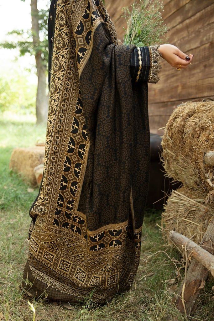 Pakistani Black Salwar Kameez for Party