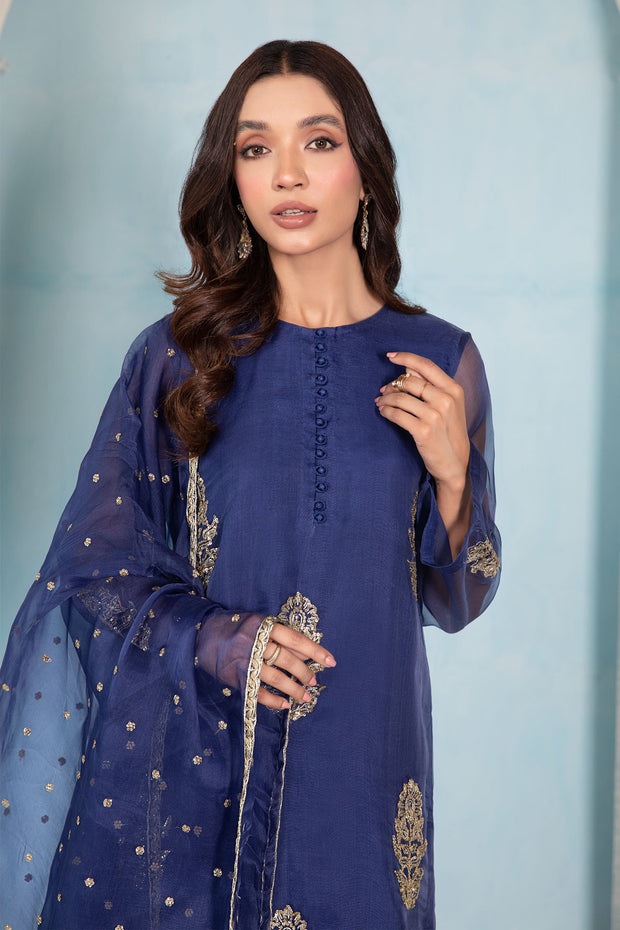 Pakistani Blue Dress in Kameez Trouser Style