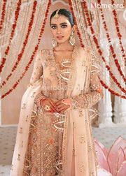 Pakistani Bridal Dress