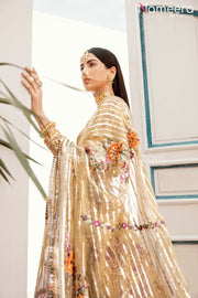 Pakistani Bridal Dress