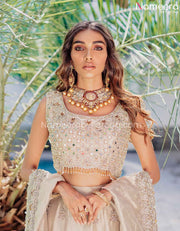 Pakistani Bridal Dress